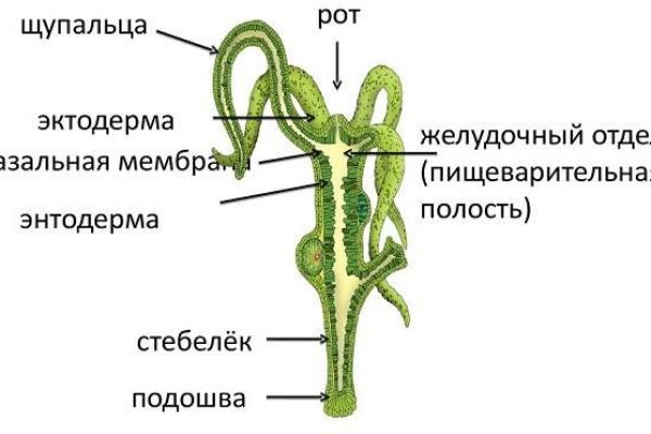 Как зайти на кракен kr2web in