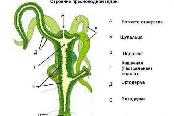 Kraken 17at сайт