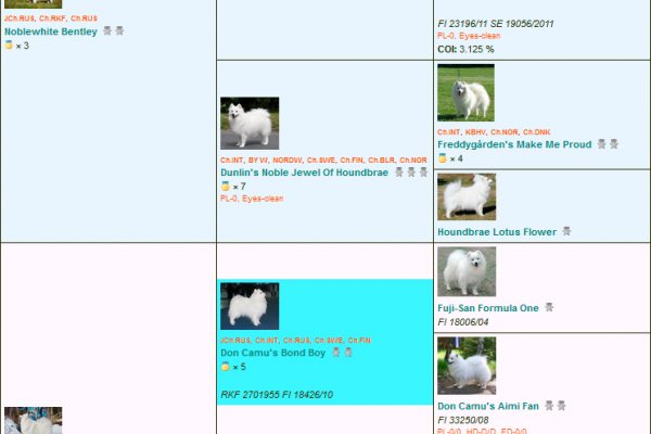 Kra34at