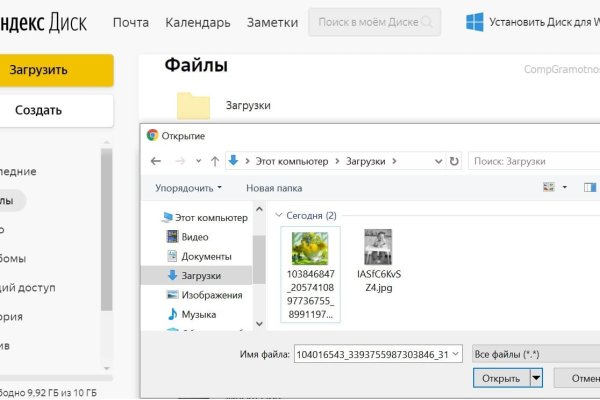 Kraken url